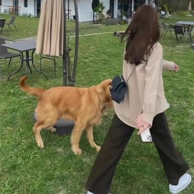 预知死亡